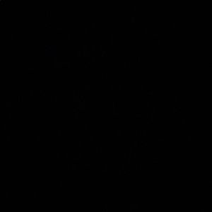 Meet your Posher, Alana